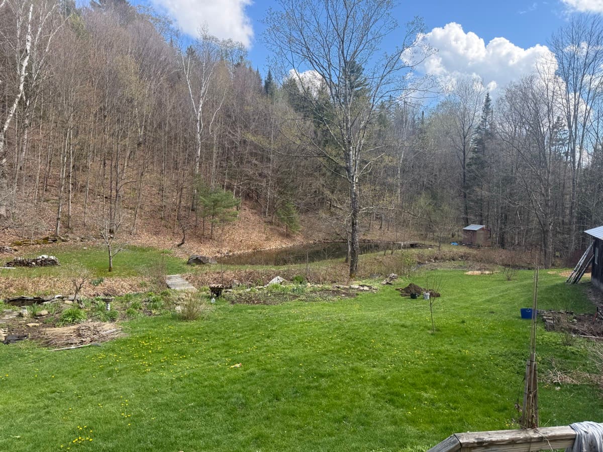 Early spring at Miller Pond, bare trees on the hillside and the first green on the lawn around the garden beds